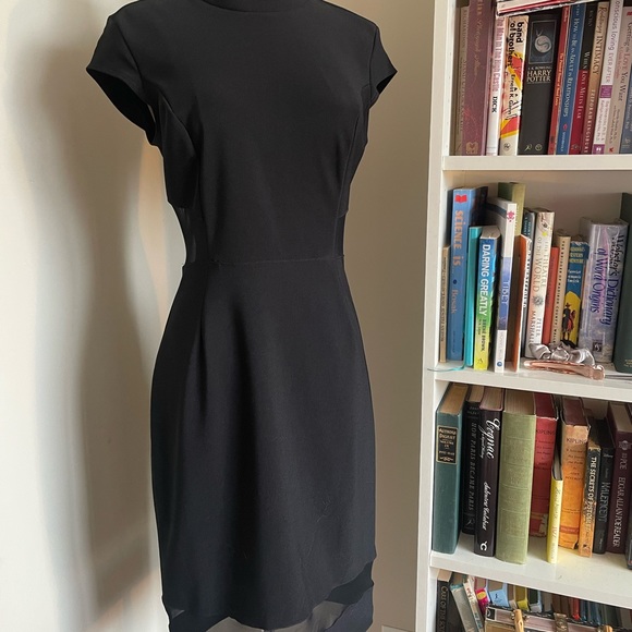 Bodycon Dress with Fine Mesh Details - Picture 10 of 12